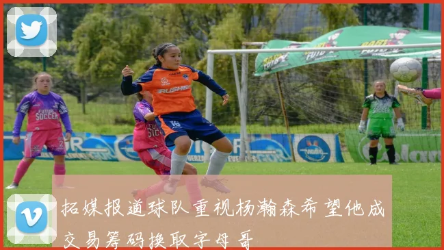 拓媒报道球队重视杨瀚森希望他成交易筹码换取字母哥